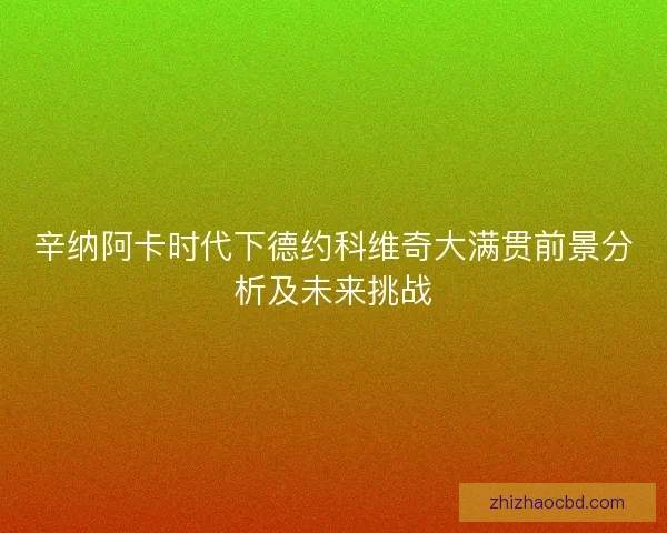 辛纳阿卡时代下德约科维奇大满贯前景分析及未来挑战